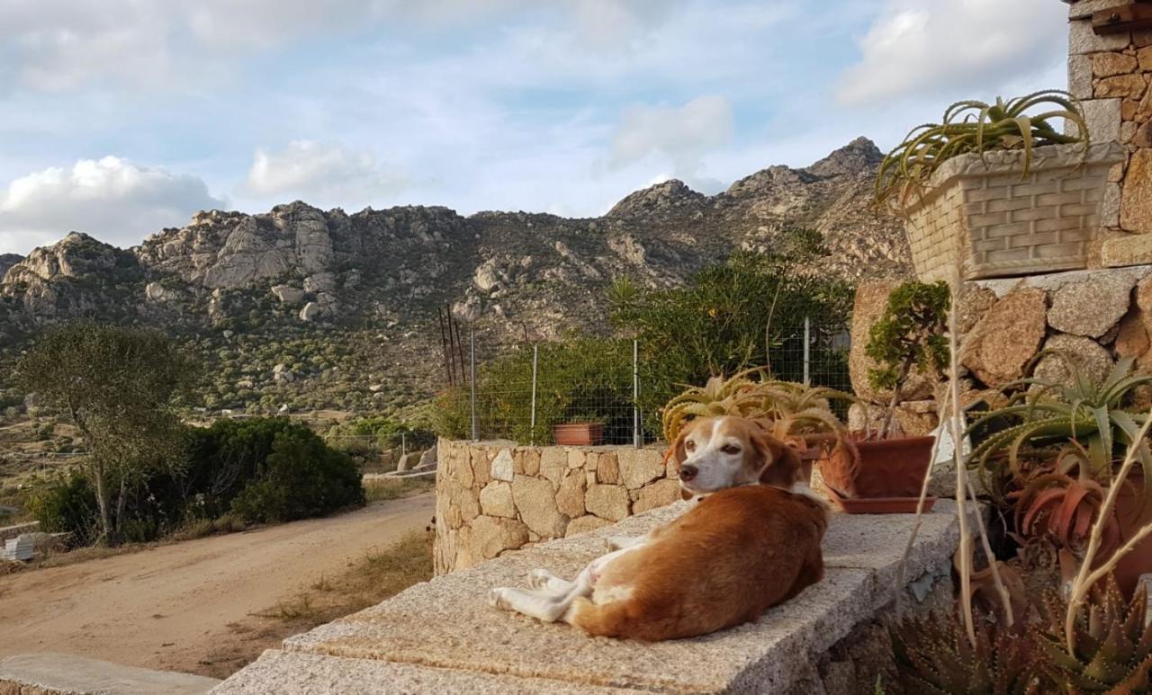 Villetta Osseddu Olbia Exteriér fotografie